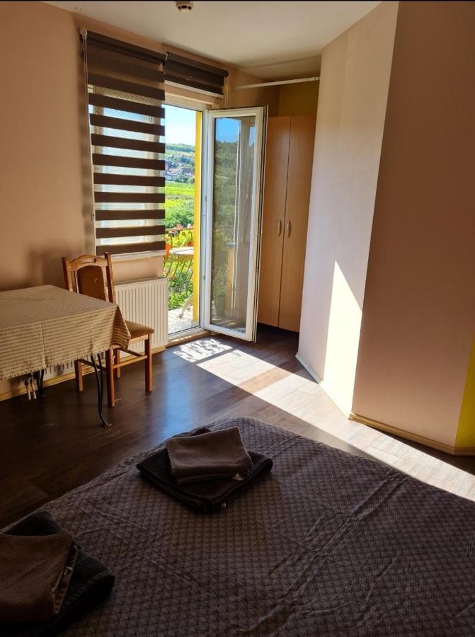 Vila Belilo Sremski Karlovci Ngoại thất bức ảnh